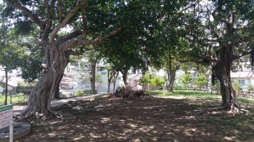沖縄移住物語