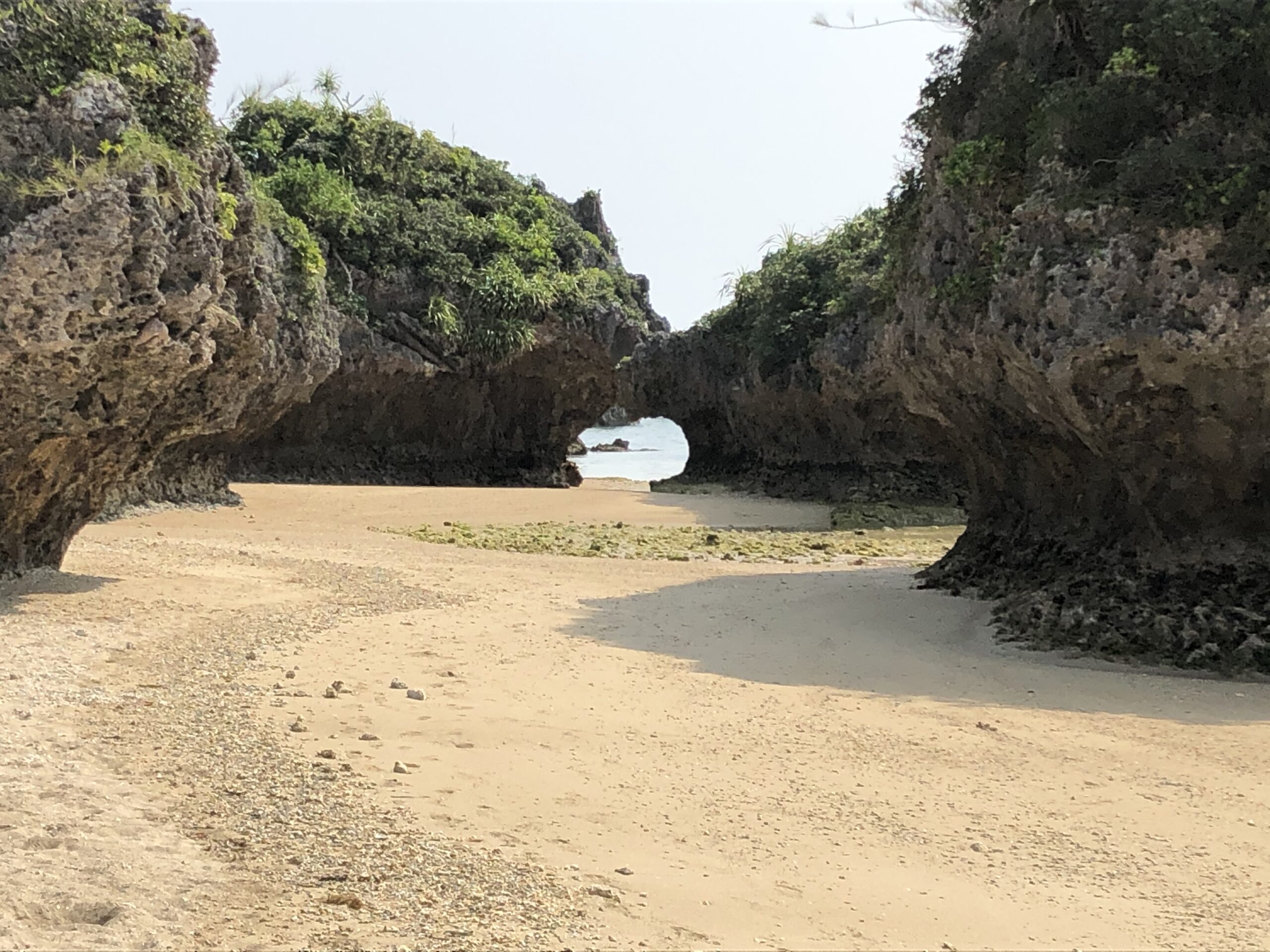 沖縄移住物語
